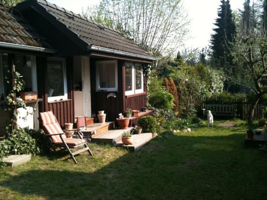 2 Bedroom Beautyful Vacation Home / Ferienhaus Brunsberg Buchholz in der Nordheide Exteriör bild